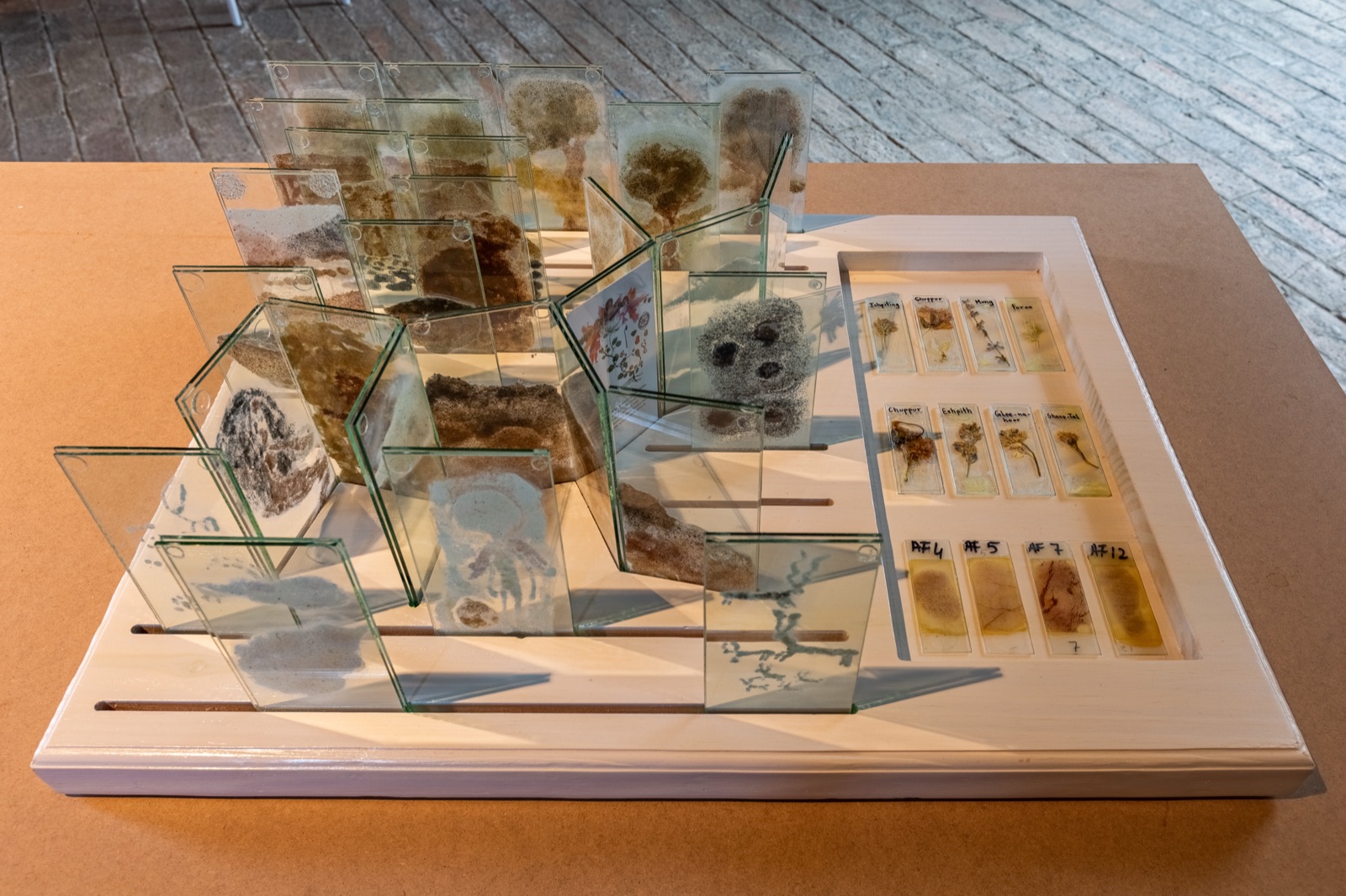 State of Displacement: Entangled Topographies